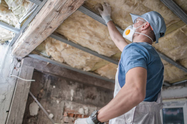Types of Insulation We Offer in Columbia, MD