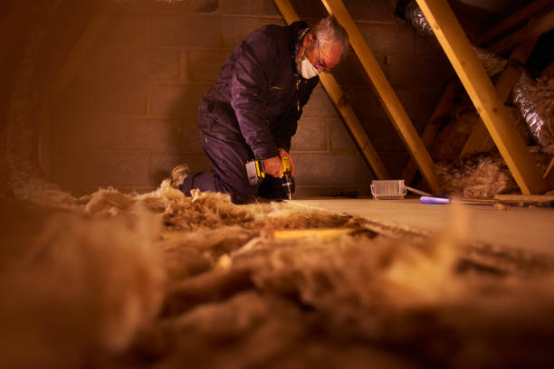 Best DIY Insulation Kits and Guidance in Columbia, MD